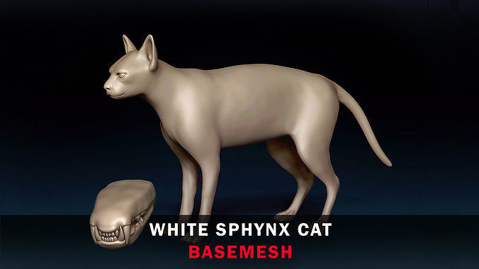 White Sphynx Cat Base Mesh 3D model