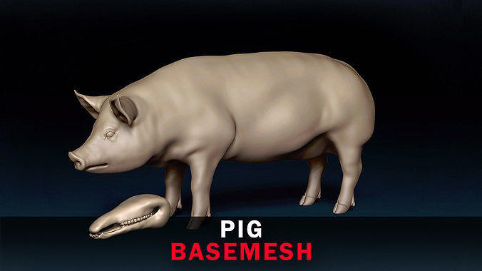 Pig Base Mesh 3D model