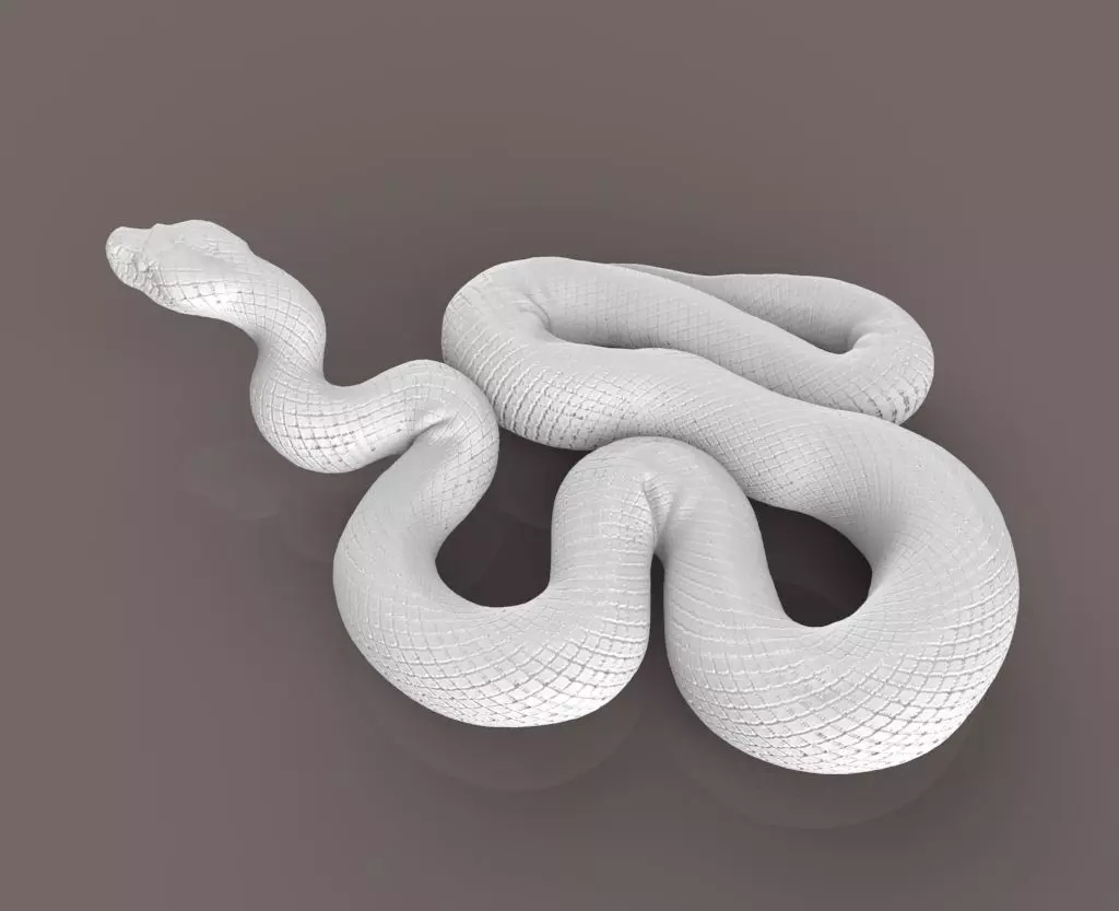 anaconda snake 3D print model_0