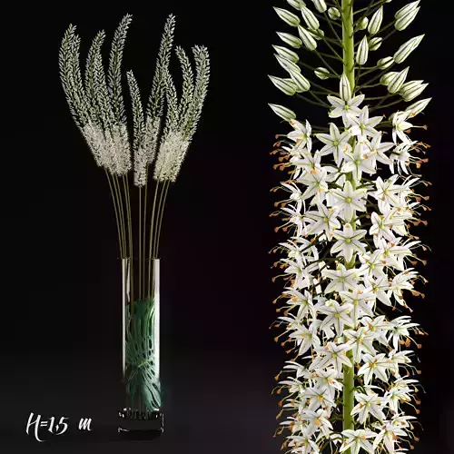 Eremurus tall grasses in vase - tall grasses in vase