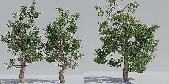 Luxcore Tropical Trees and Vegetation pack 3D model