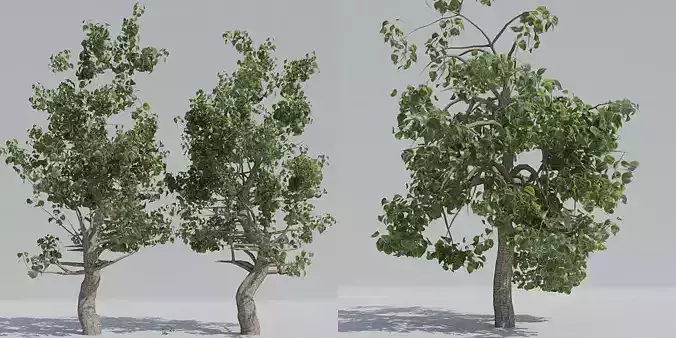 Luxcore Tropical Trees and Vegetation pack 3D model