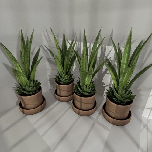 Indoor Pot Plant 3 Free low-poly 3D model_3