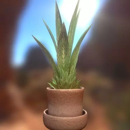 Indoor Pot Plant 3 Free low-poly 3D model_0