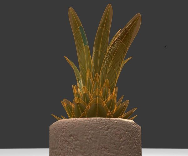 Indoor Pot Plant 3 Free low-poly 3D model_2