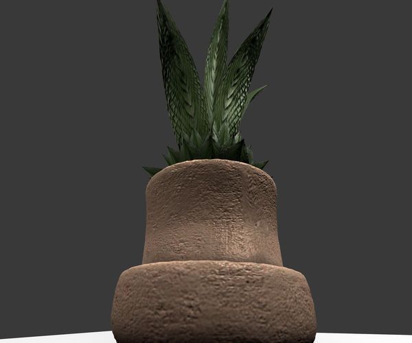 Indoor Pot Plant 3 Free low-poly 3D model_18