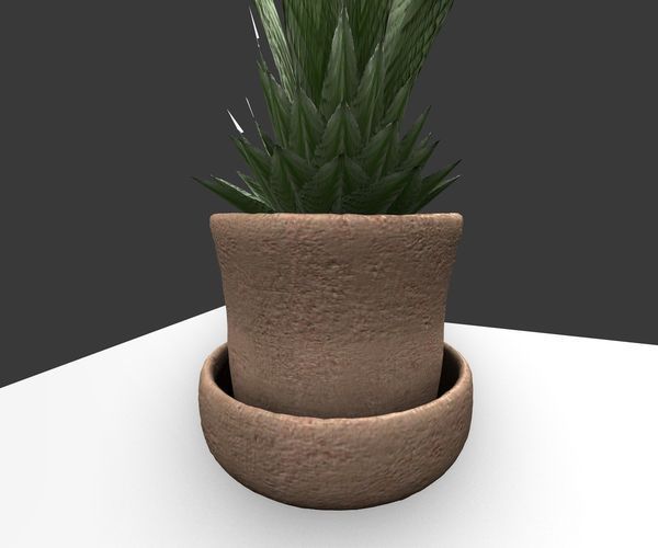 Indoor Pot Plant 3 Free low-poly 3D model_16