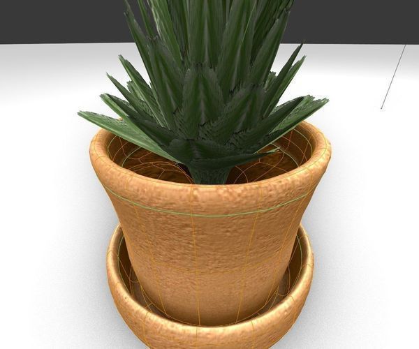 Indoor Pot Plant 3 Free low-poly 3D model_7