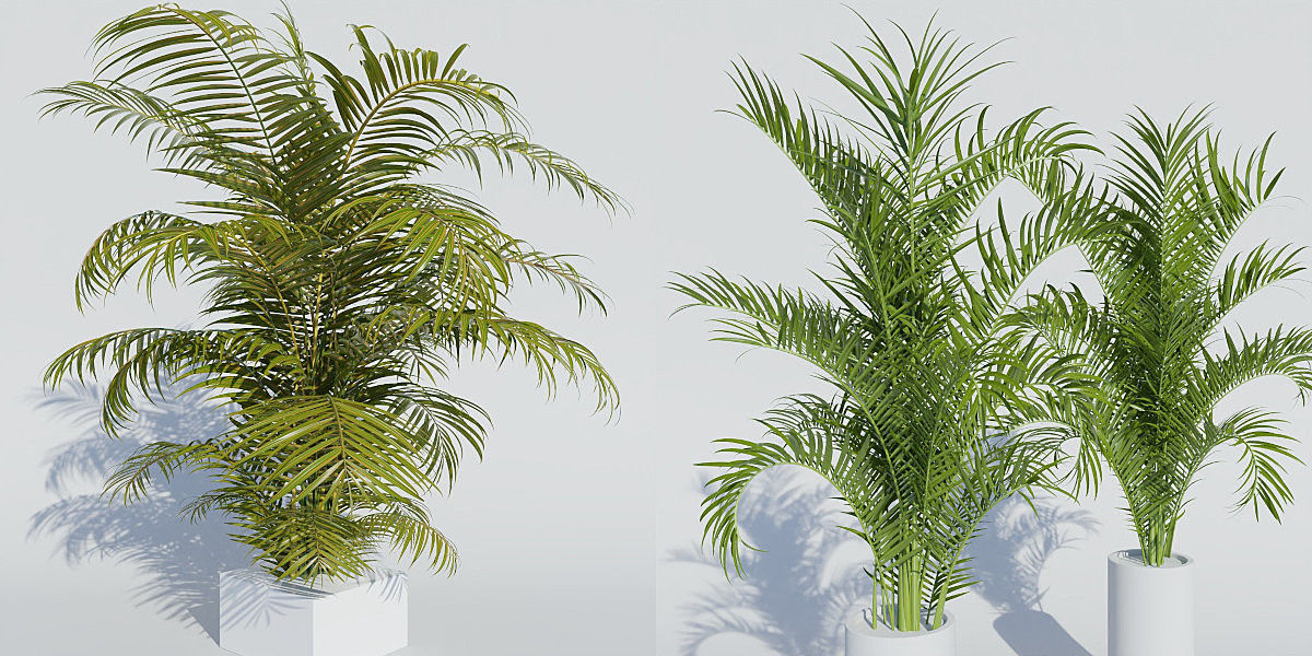 Luxcore Garden Package 3D model_9