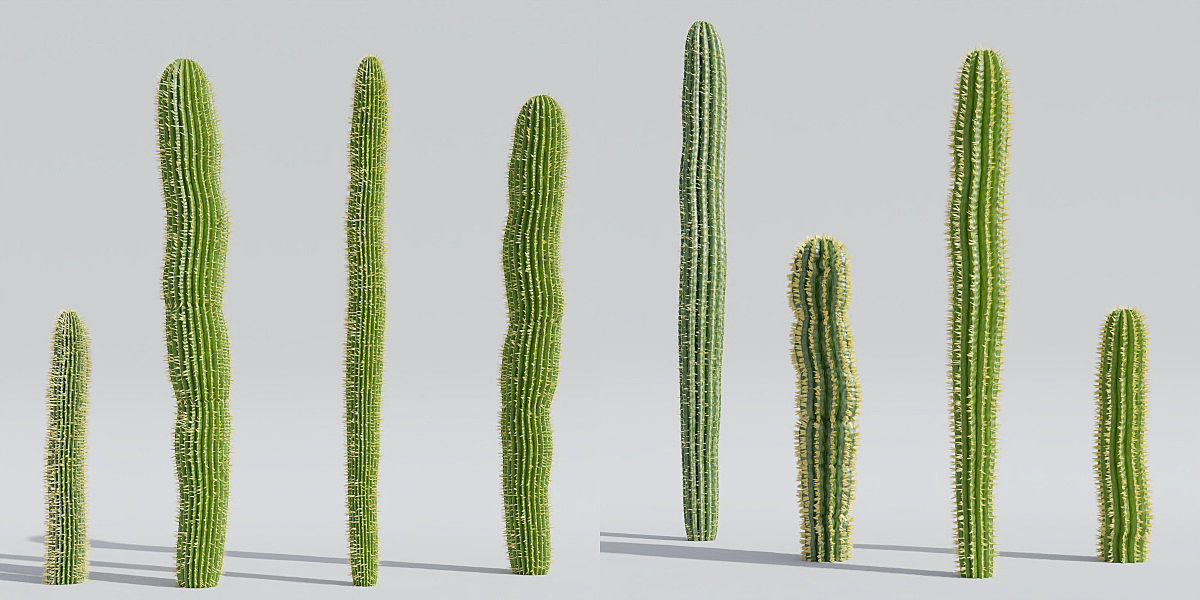 Luxcore Garden Package 3D model_18