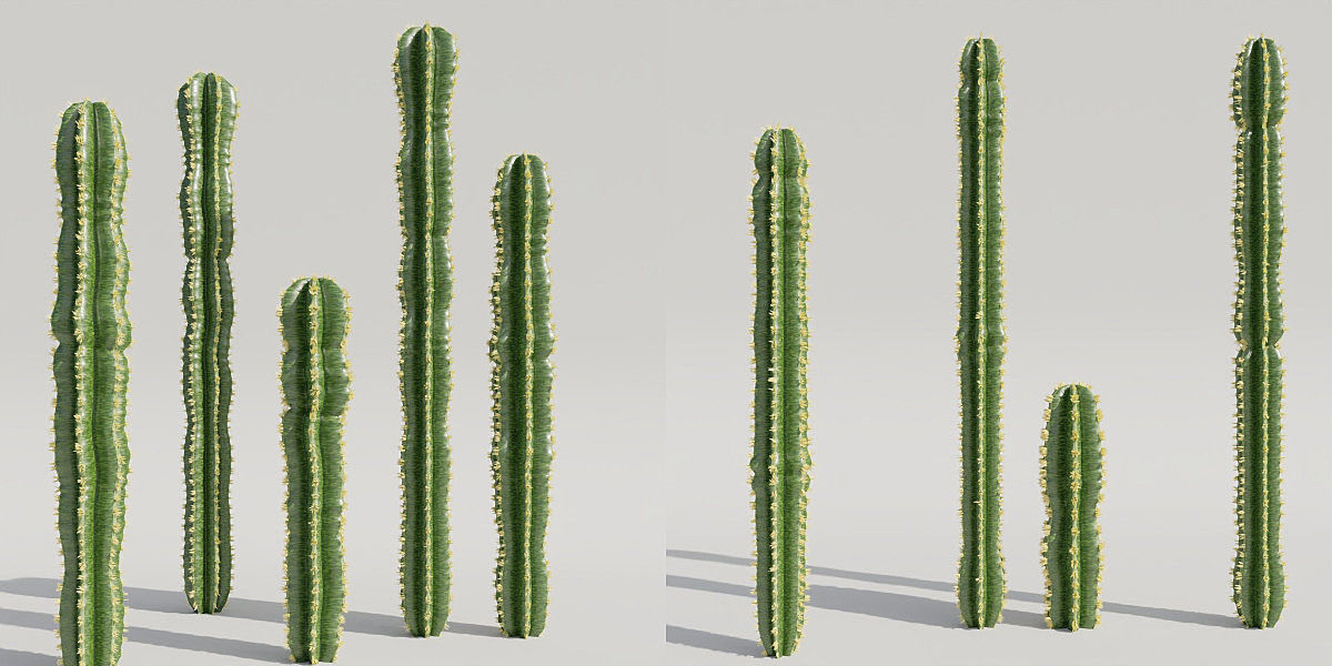 Luxcore Garden Package 3D model_17