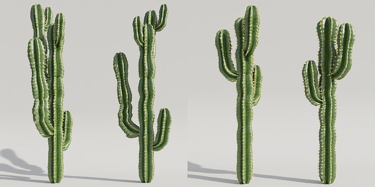 Luxcore Garden Package 3D model_21