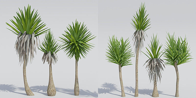 Luxcore Garden Package 3D model_29