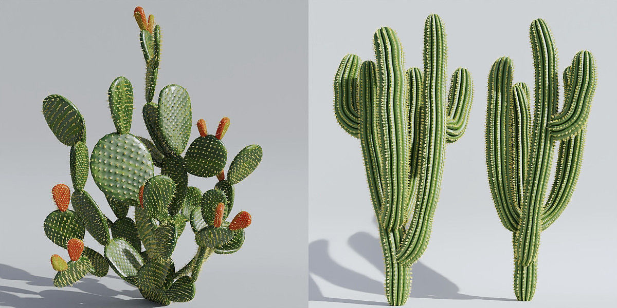 Luxcore Garden Package 3D model_16