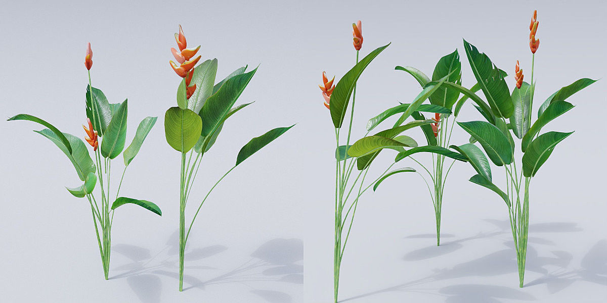 Luxcore Garden Package 3D model_22