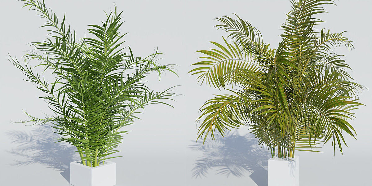 Luxcore Garden Package 3D model_5