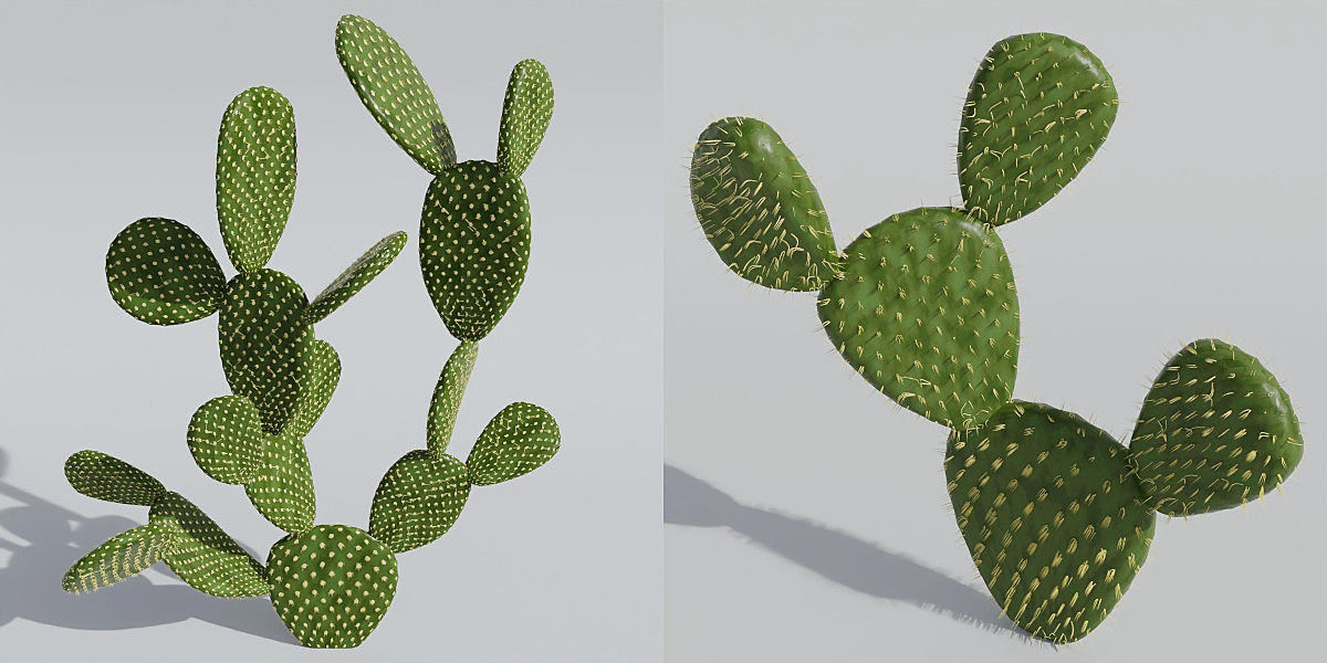 Luxcore Garden Package 3D model_28