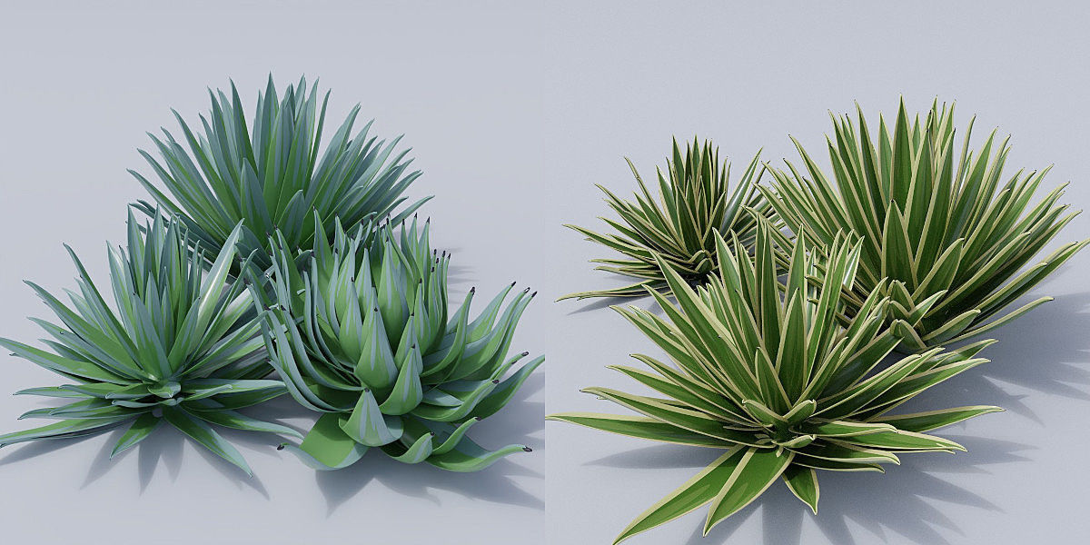 Luxcore Garden Package 3D model_30