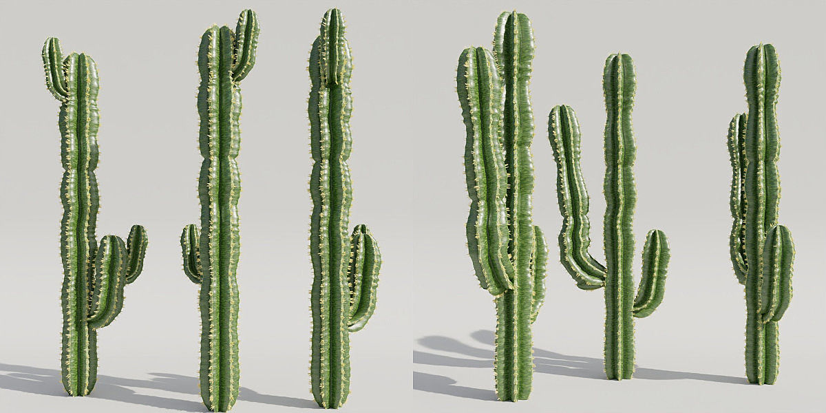 Luxcore Garden Package 3D model_23