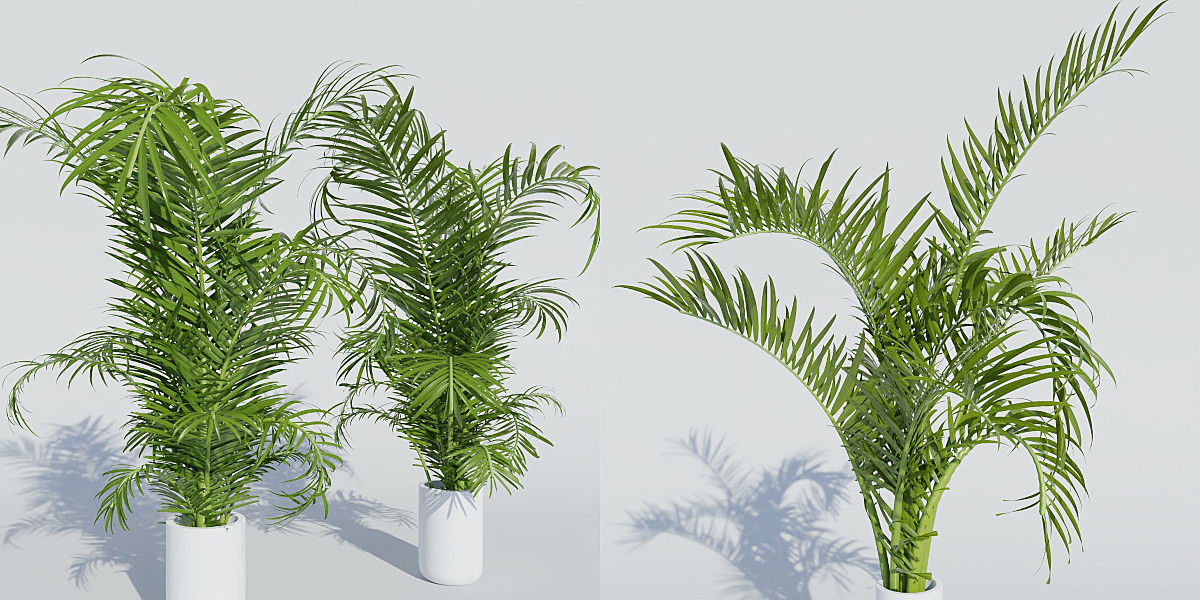 Luxcore Garden Package 3D model_24