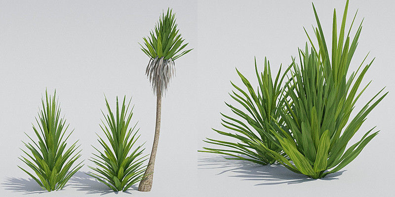 Luxcore Garden Package 3D model_11