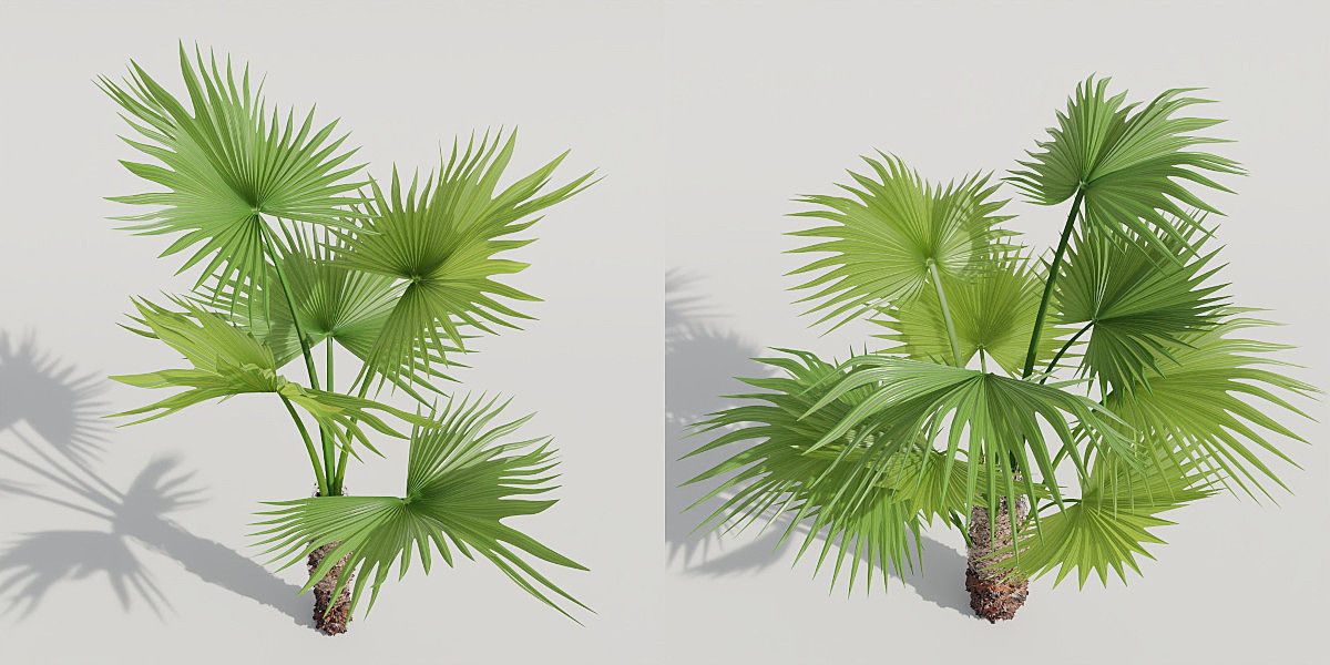 Luxcore Garden Package 3D model_8