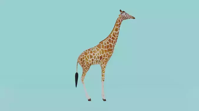 Giraffe Low-poly 3D model