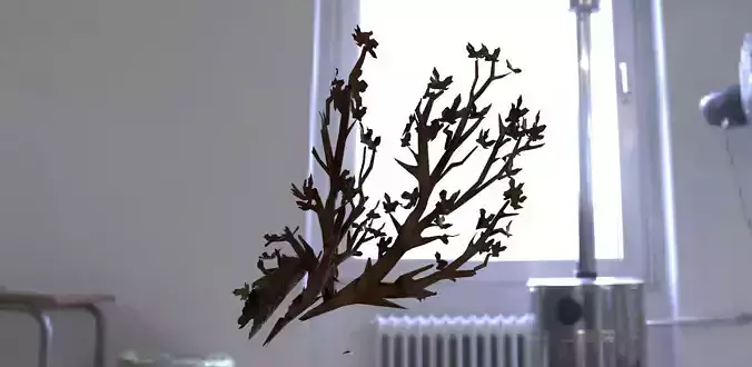 Tree Branch 3D model
