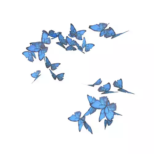 Group Butterfly v1 001