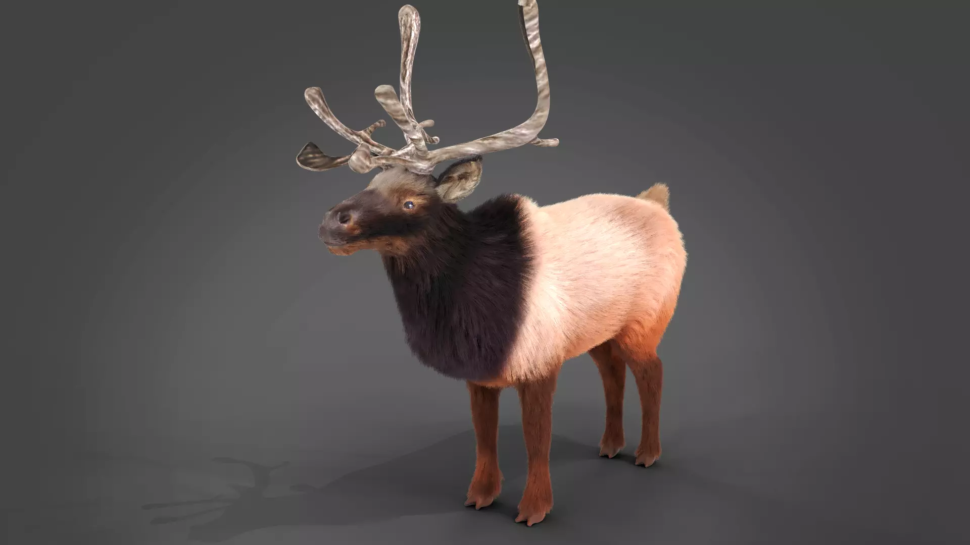 Fur Red Reindeer Blender NO RIG Low-poly 3D model