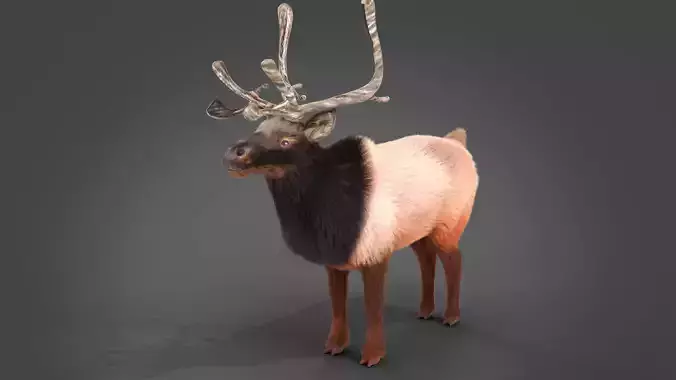 Fur Red Reindeer Blender NO RIG