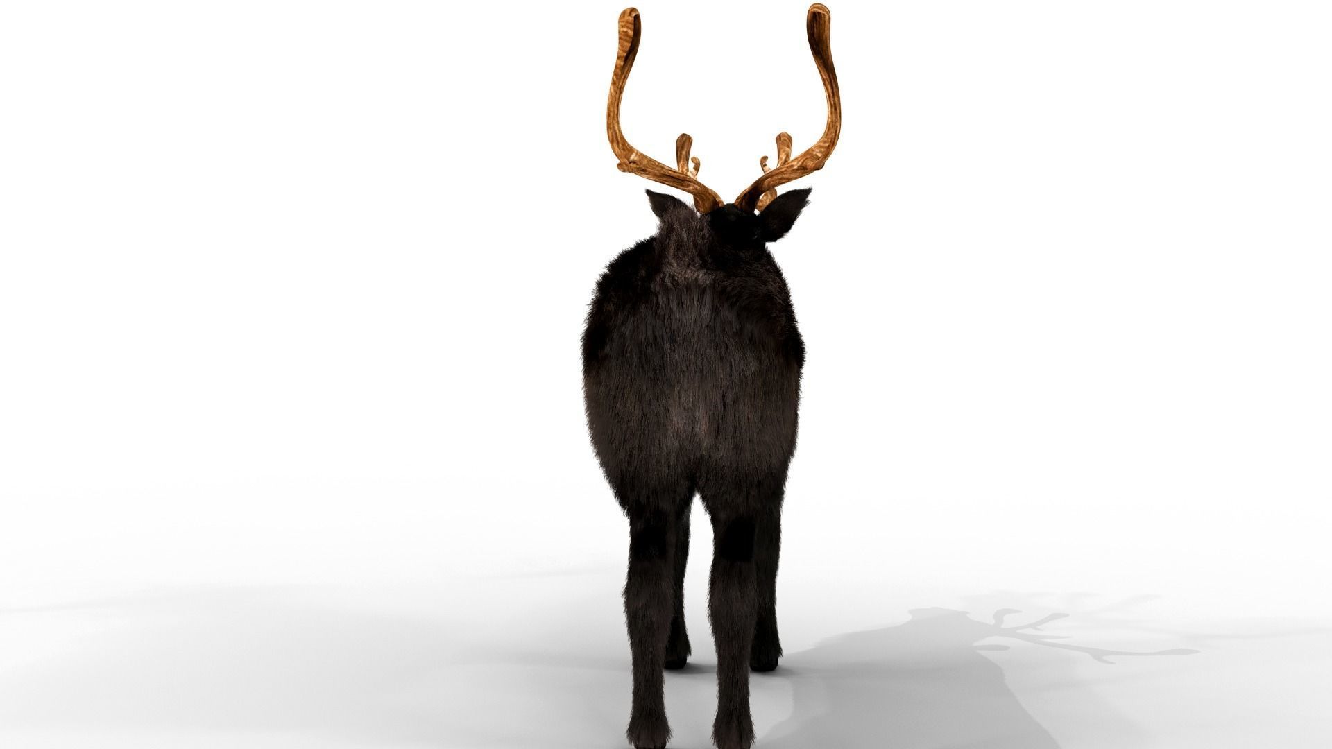 Fur Black Reindeer Blender NO RIG Low-poly 3D model_6