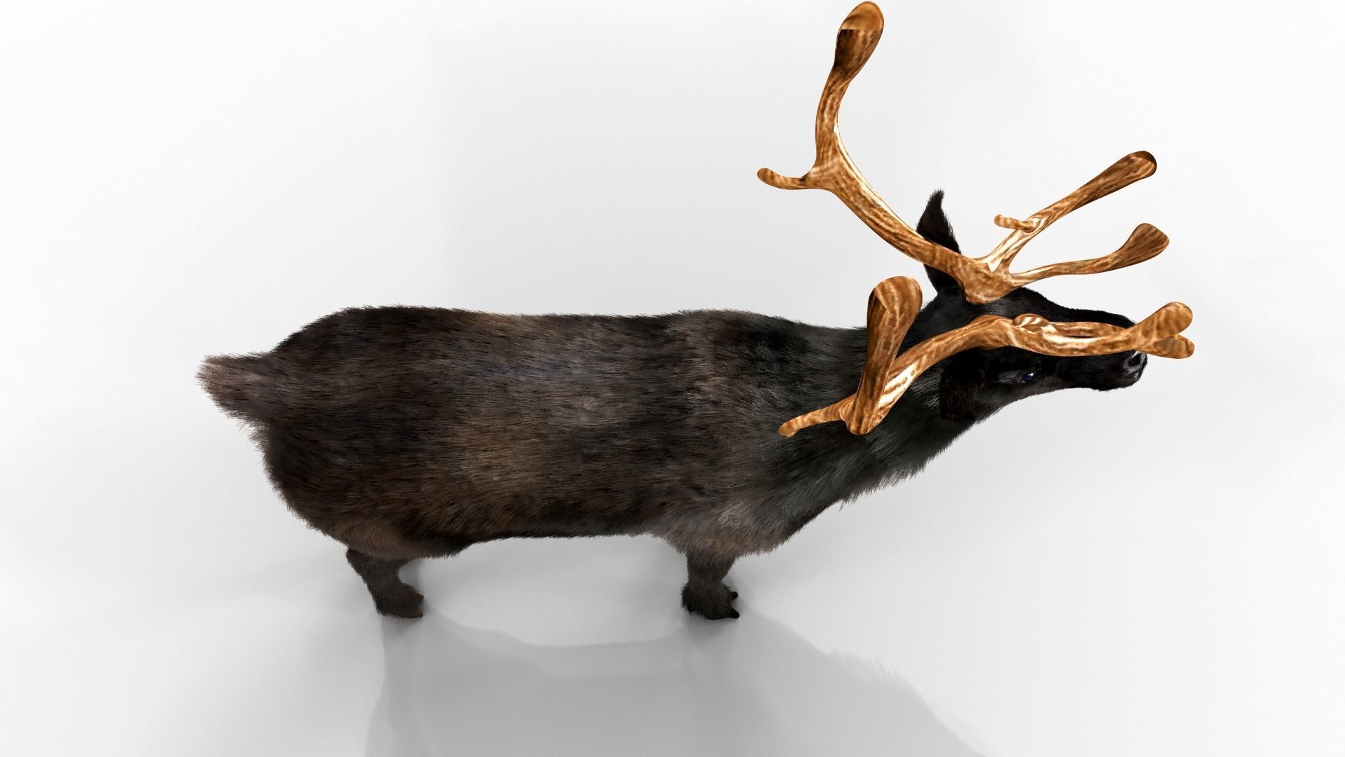 Fur Black Reindeer Blender NO RIG Low-poly 3D model_7