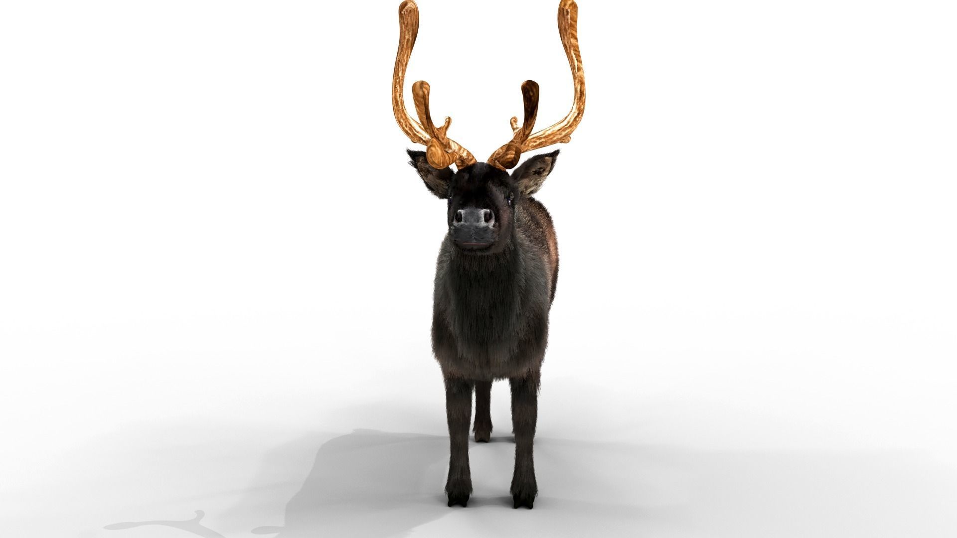 Fur Black Reindeer Blender NO RIG Low-poly 3D model_3