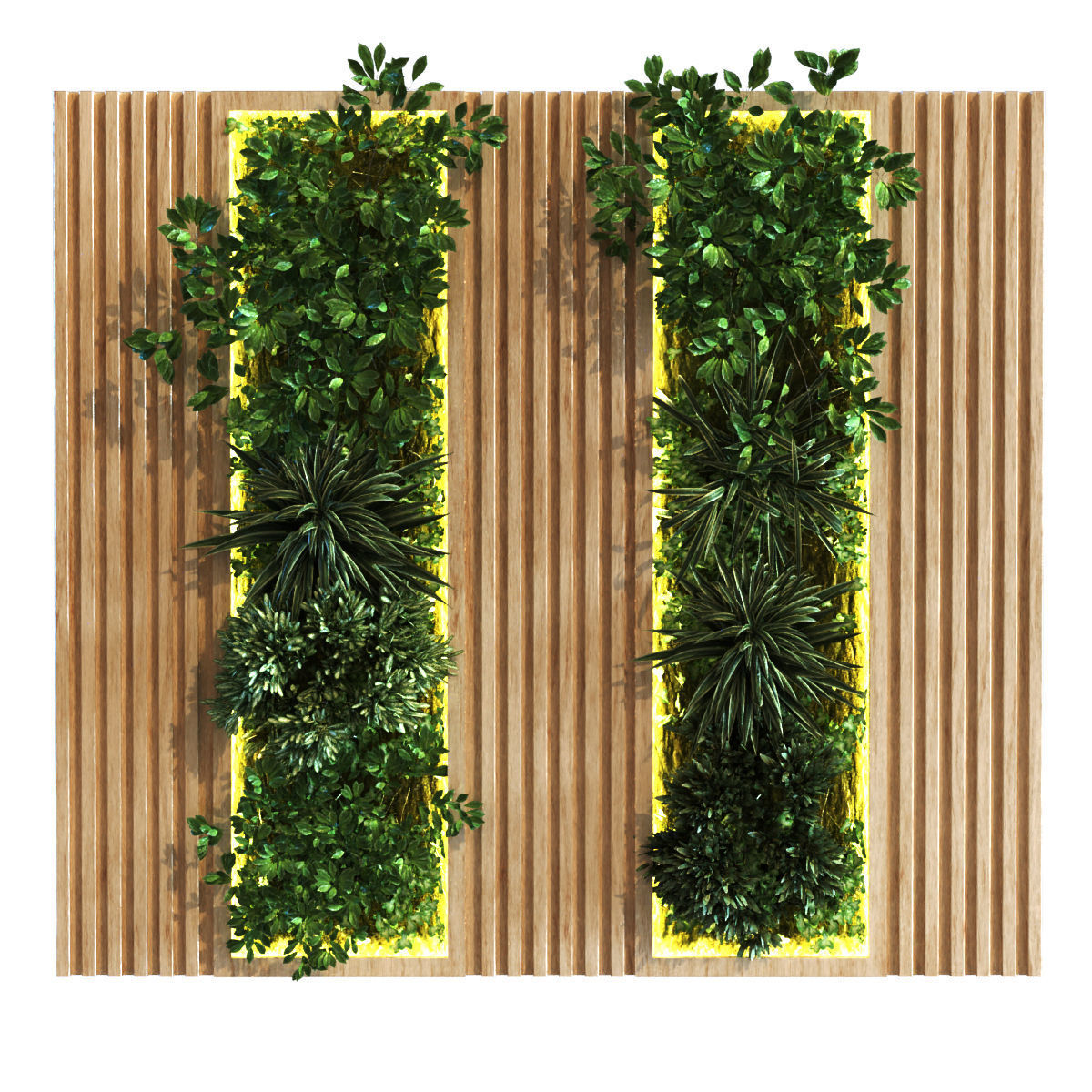 vertical plant set 089 Low-poly 3D model_4