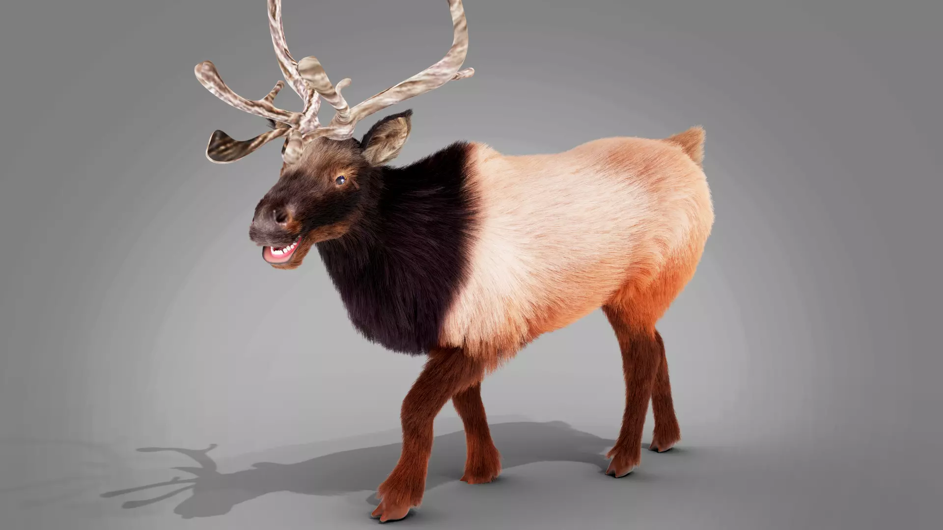 Fur Red Reindeer Rigged Blender  Low-poly 3D model_0