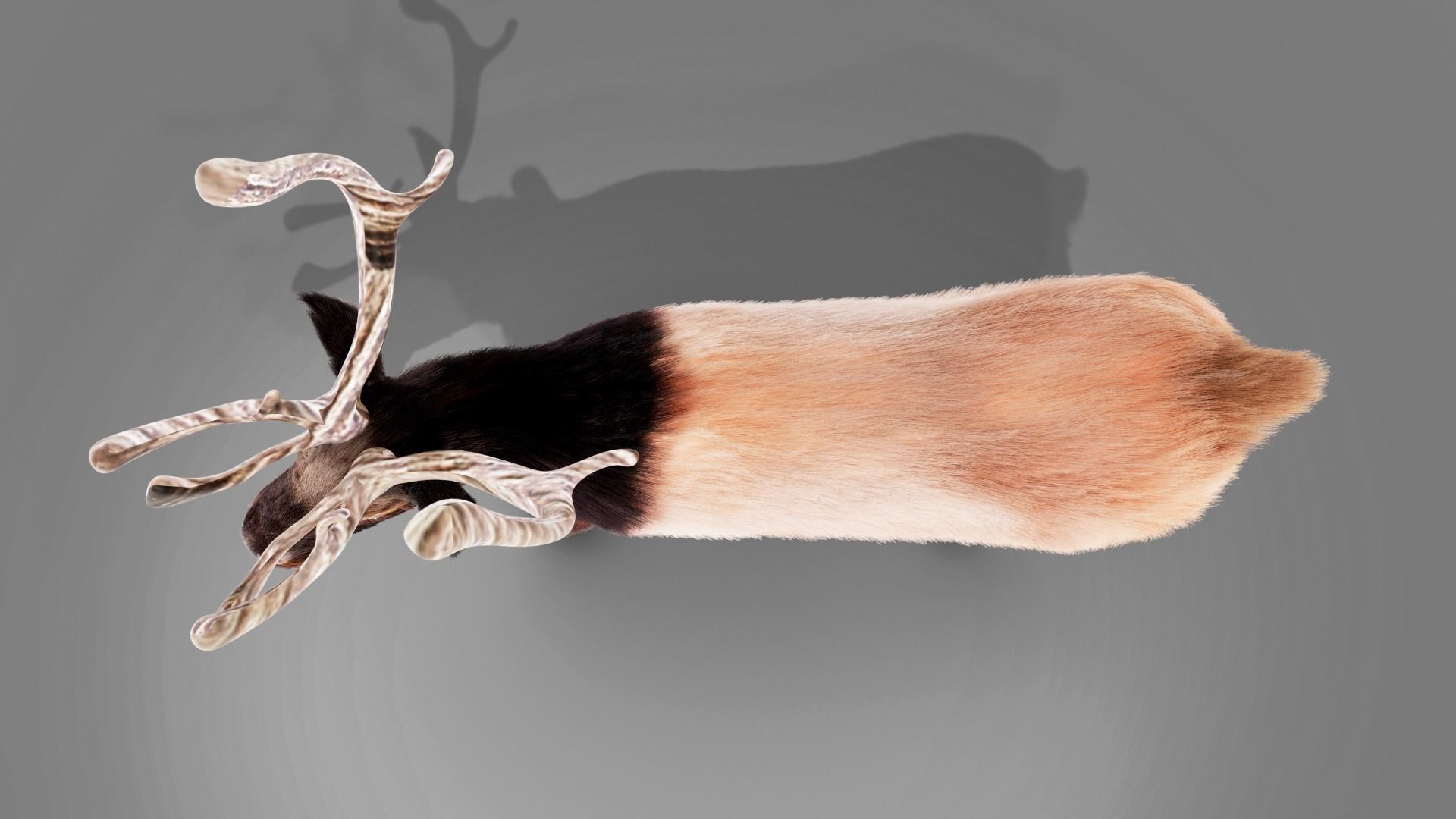 Fur Red Reindeer Rigged Blender  Low-poly 3D model_7