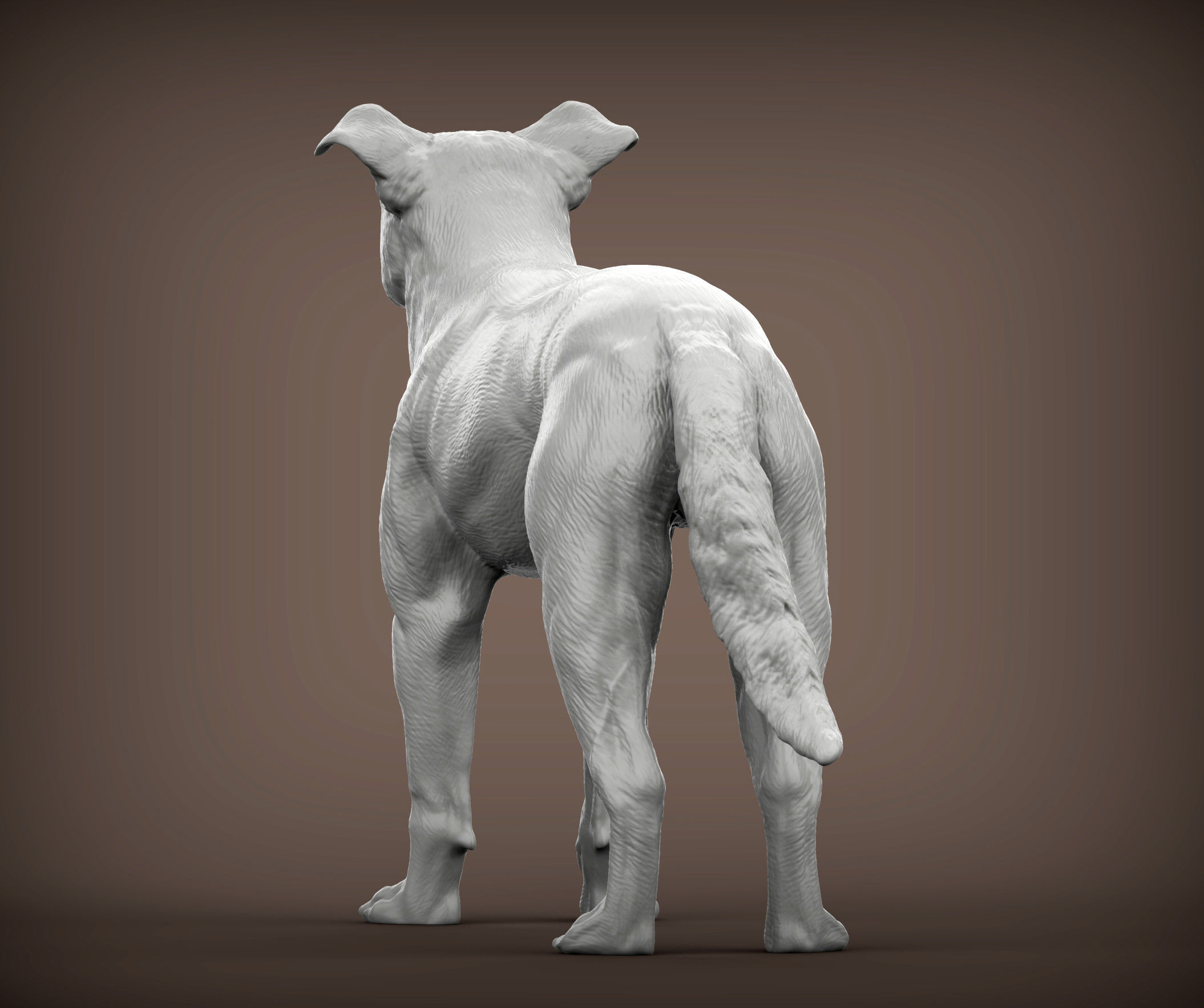 New Zealand Shepherd 3D print model_3