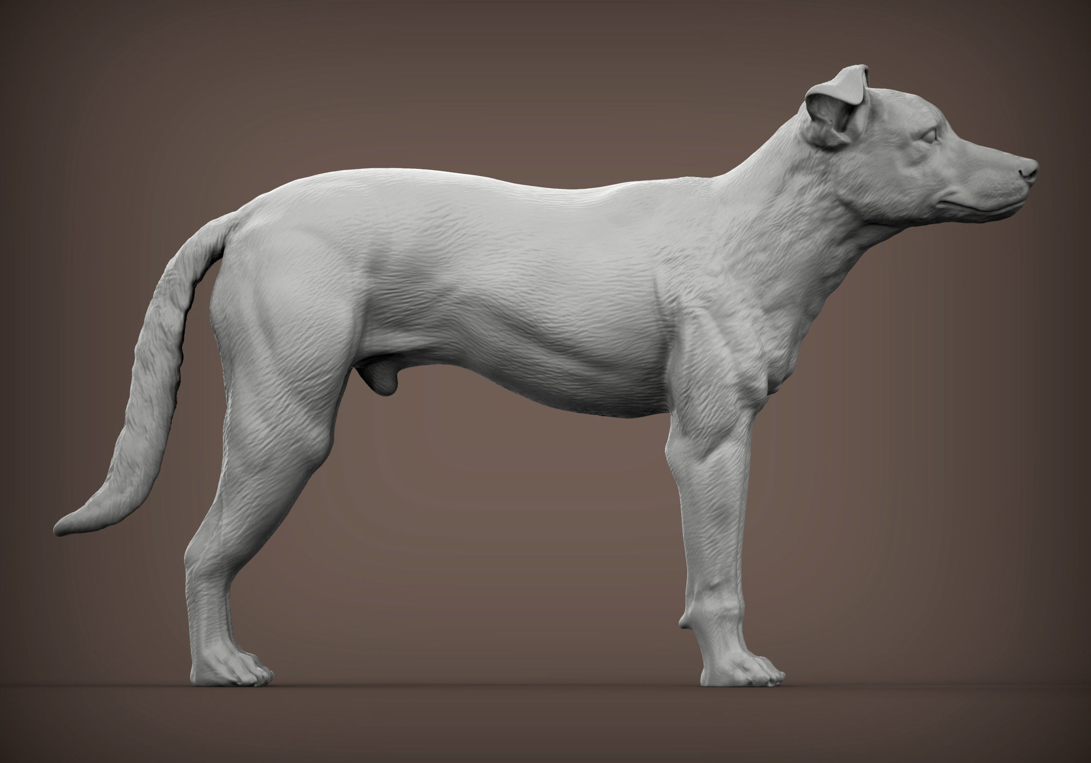 New Zealand Shepherd 3D print model_1