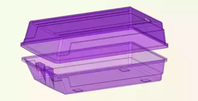 Plastic box with a handle for storing shoes 3D print model