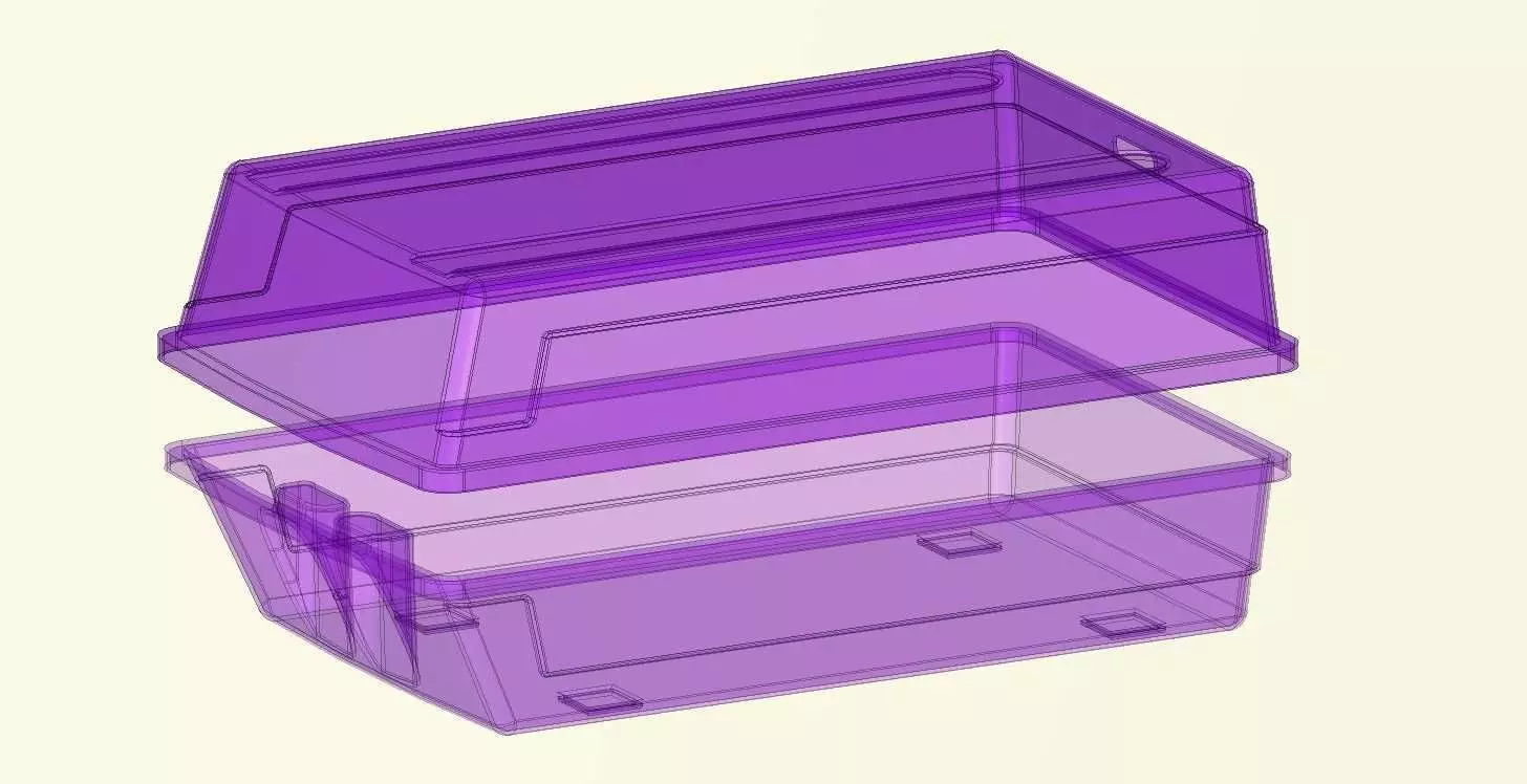 Plastic box with a handle for storing shoes 3D print model_0