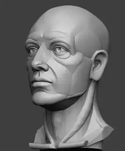 Planar simplified male head  3D print model