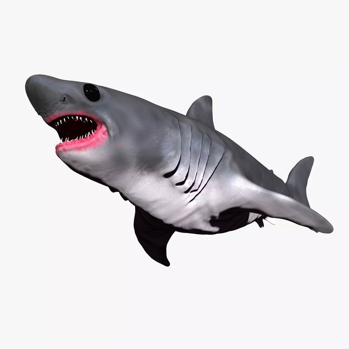Baby Shark Set -Sculpt 3D model_0
