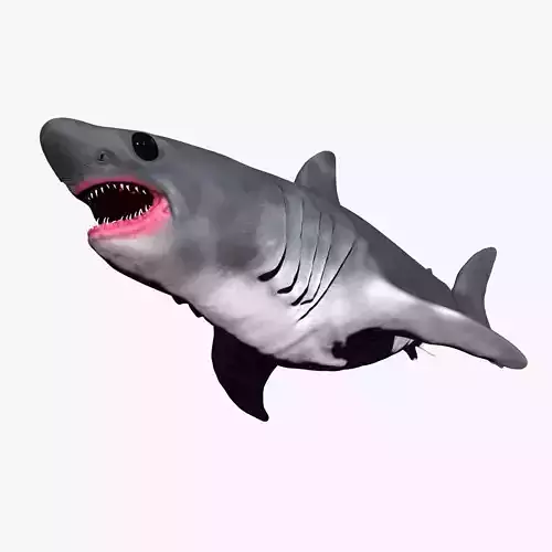 Baby Shark Set -Sculpt