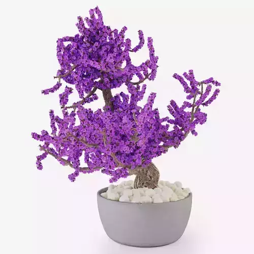 Bonsai A tree in pot