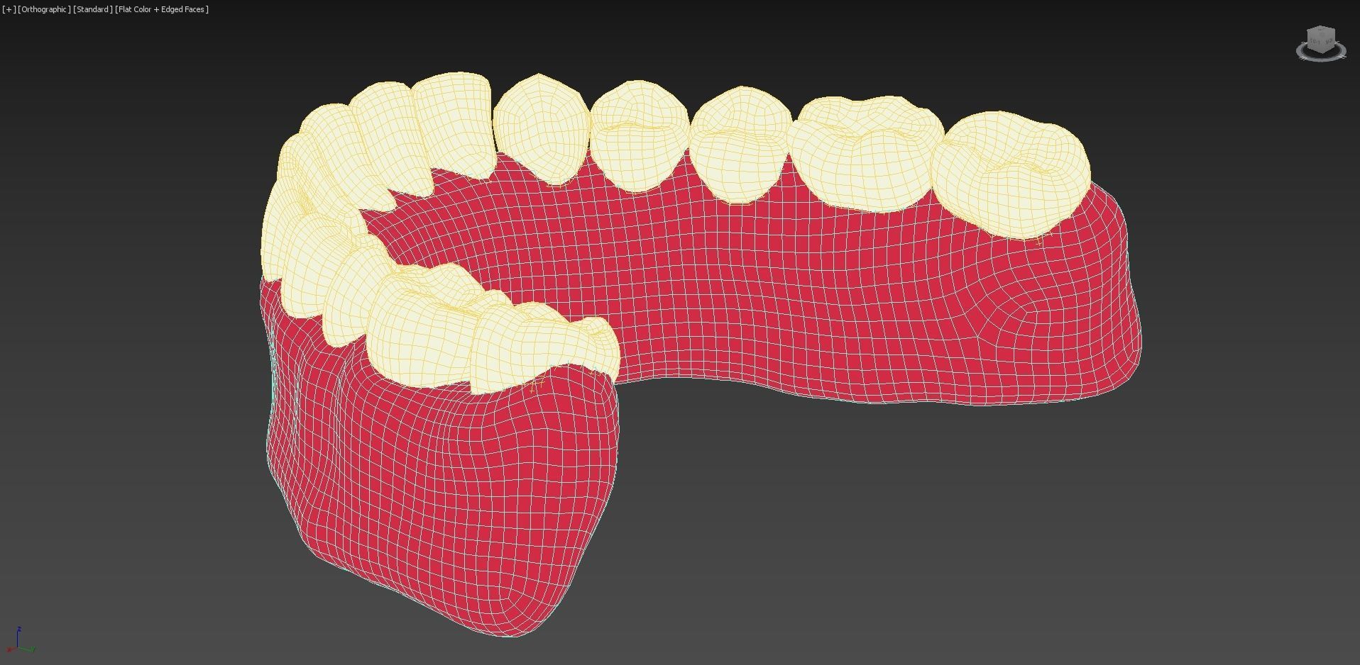 Bottom Dental Teeth Model Low-poly 3D model_8