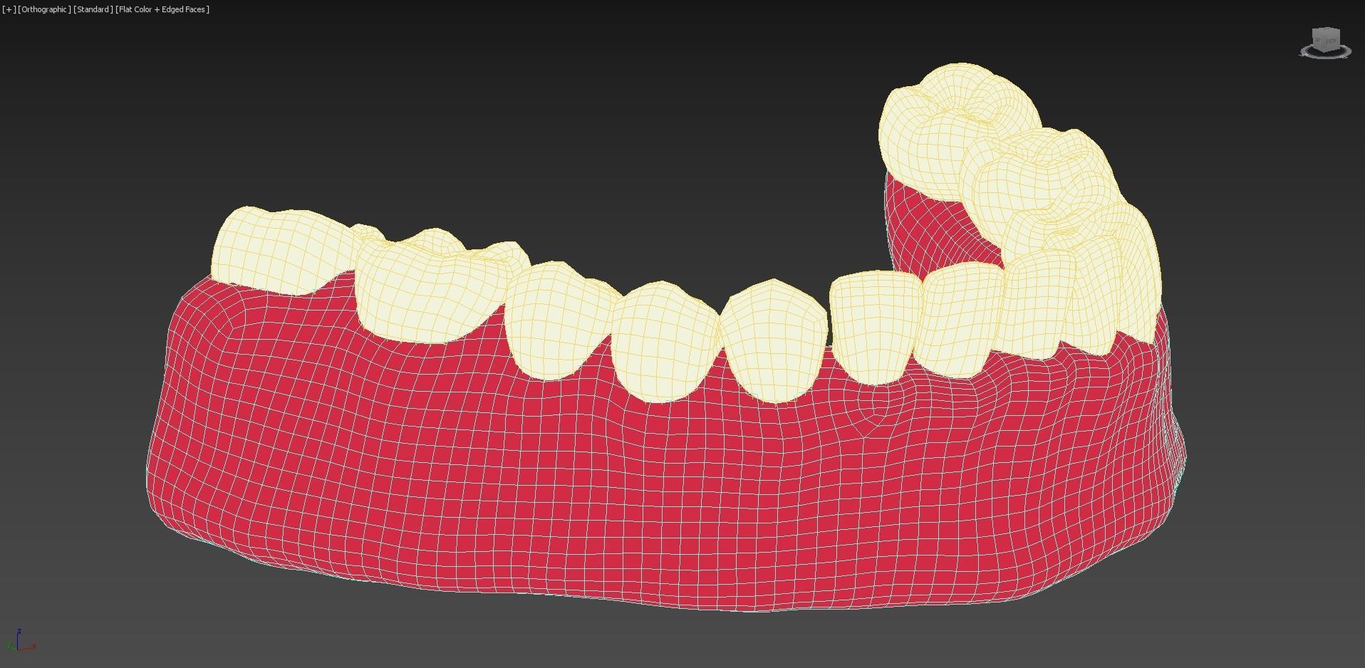 Bottom Dental Teeth Model Low-poly 3D model_10