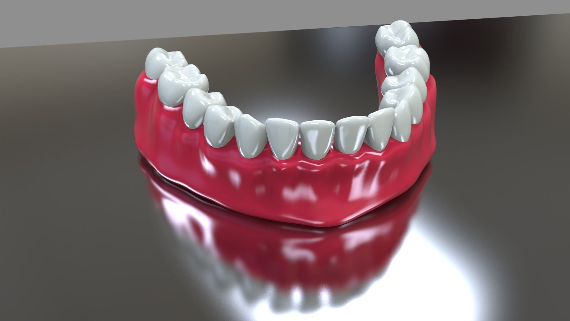 Bottom Dental Teeth Model Low-poly 3D model_3
