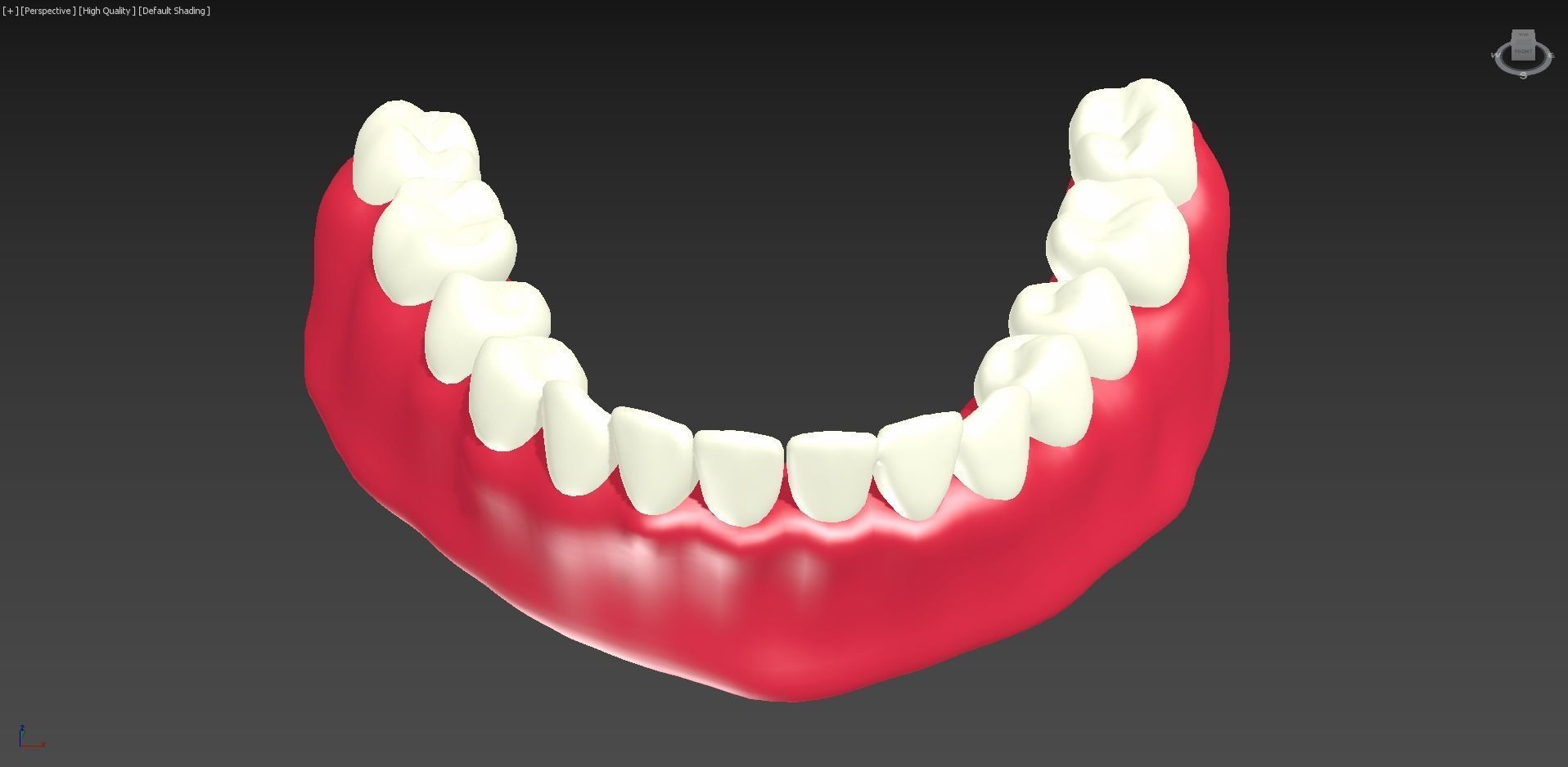Bottom Dental Teeth Model Low-poly 3D model_5