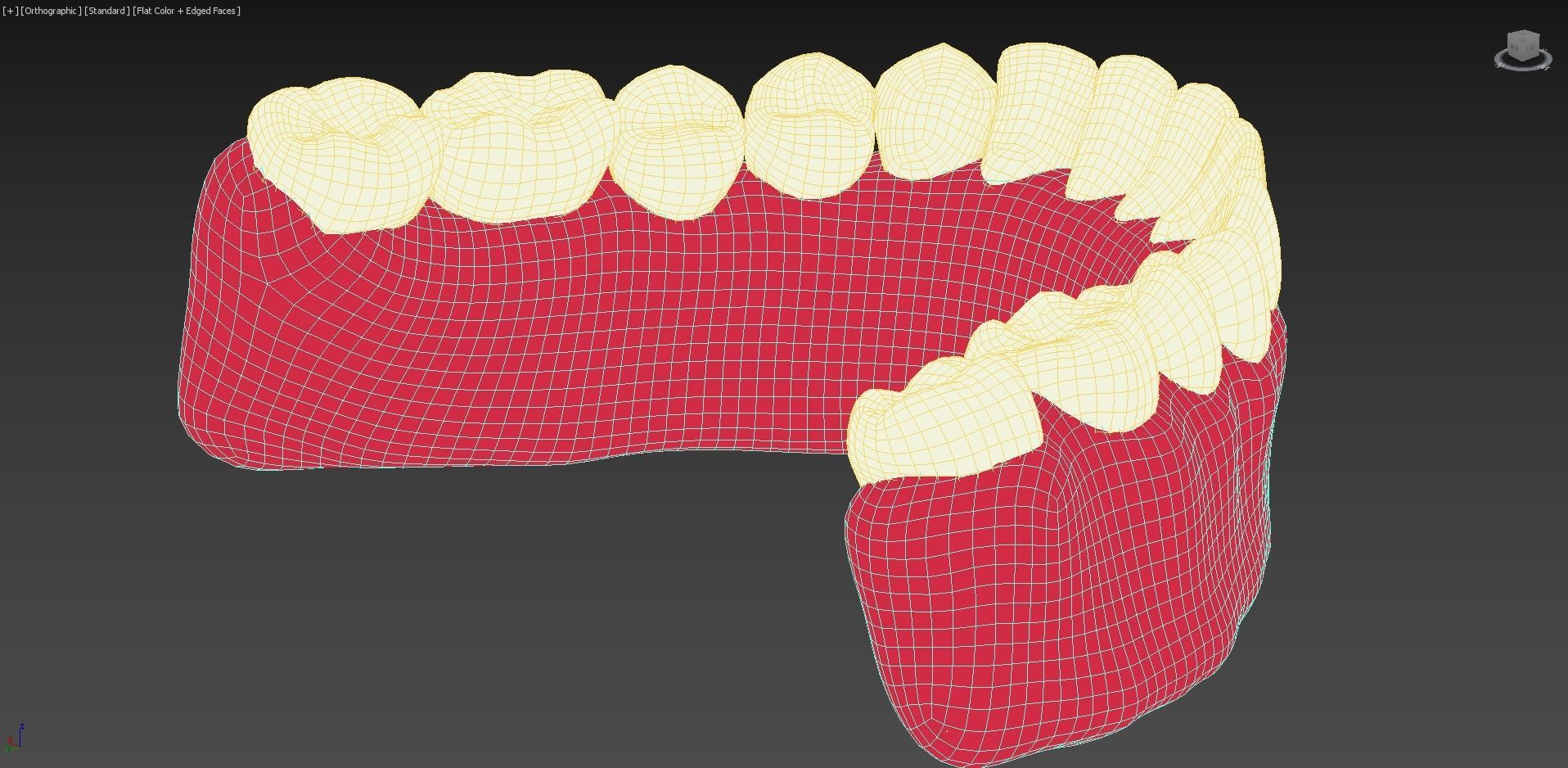 Bottom Dental Teeth Model Low-poly 3D model_9
